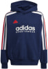 adidas J NP HOODIE Gyerek kapucnis felső
