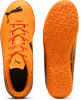 Puma Attacanto II IT Hallenfußballschuhe