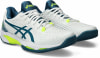 Asics Solution Speed FF 2 Clay férfi teniszcipő