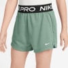 Nike Pro DriFit Fleece Shorts