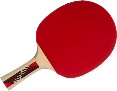 Donic-Schildkröt SCHILDKRÖT Legends 600 FSC Tischtennisschläger