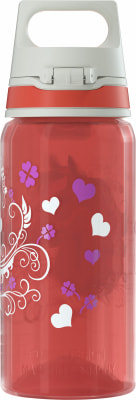 Sigg Trinkflasche VIVA Lunchboxset
