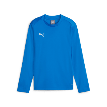 Puma teamGOAL Langarmshirt