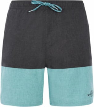 Protest Prtfreddie Beachshort