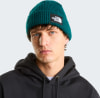 Ein Mann in einer dunkelgrünen Mütze mit The North Face-Logo und schwarzem Hoodie.