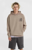 O'Neill Future Surf Society Hoodie