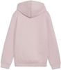 Puma Ess Nature 20 Graphic Kapuzensweater