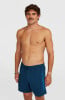 O'Neill Logo Badeshorts