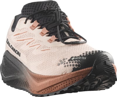 Rosa Salomon Laufschuh mit schwarzer Sohle und Gore-Tex-Membran. Rosa Salomon Laufschuh mit schwarzer Sohle und Gore-Tex-Membran.