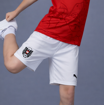 ÖFB 2024  Fußballshorts Replica