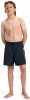 Quiksilver Everyday Holmes Badeshorts
