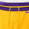 Nike NBA Los Angeles Lakers Icon Basketballshorts