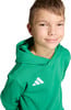 Ein Junge in einem grünen Hoodie mit Adidas-Logo lächelt vor weißem Hintergrund.