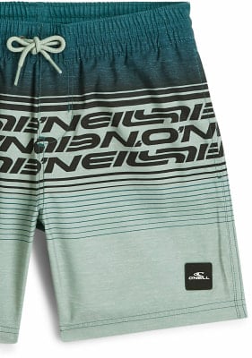 O'Neill Logo Stripe Badeshorts