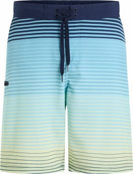 Firefly Otto II Shade Badeshorts