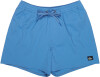 Quiksilver Everyday Flex Badeshort