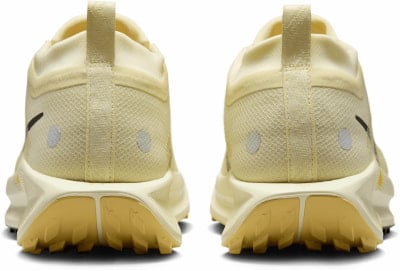 Nike Pegasus Trail 5 GTX Traillaufschuhe
