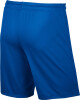 Nike Park II Knit férfi rövidnadrág