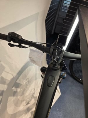 Franz Kneissl World Cup