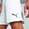 Puma teamGOAL Shorts