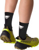 Dynafit Traverse 2 GTX Traillaufschuhe