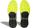 Dynafit Traverse 2 GTX Traillaufschuhe