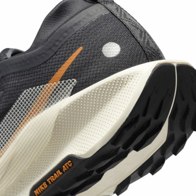 Nike Pegasus Trail 5 GTX Traillaufschuhe