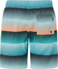 Protest Prtray Beachshort