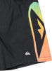 Quiksilver Everyday Holmes Badeshorts