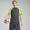 Puma IndividualLIGA T-Shirt