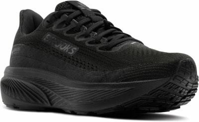 Brooks Ghost 17 GTX Laufschuhe