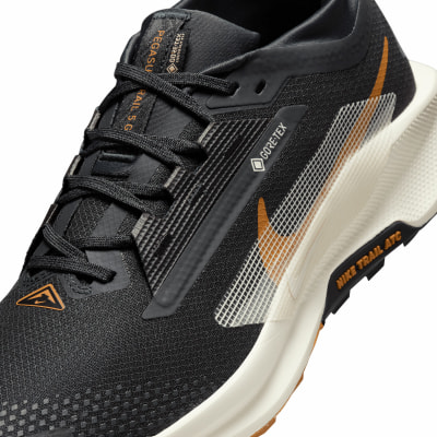 Nike Pegasus Trail 5 GTX Traillaufschuhe