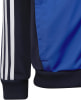 adidas Essentials 3-Streifen Tiberio Trainingsanzug