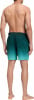 Firefly Lario Typo Shaded Badeshorts