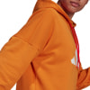 adidas Future Icons Hoodie