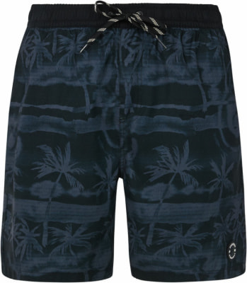 Protest Prtdelton Beachshorts
