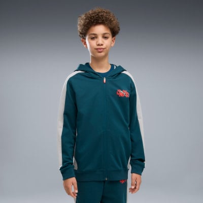 Puma Active Sports Full-Zip Sweatjacke mit Kapuze Puma Active Sports Full-Zip Sweatjacke mit Kapuze