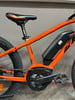 Orange E-Bike mit schwarzem Sattel und schwarzem Bosch Akku.