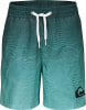 Quiksilver Opticallusionvl Badeshorts