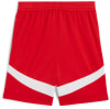 Puma FC Red Bull Salzburg 24/25 Shorts