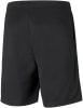 Puma Teamrise Trainingsshorts