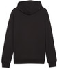 Puma teamGOAL Casuals Hoodie
