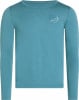 Blaues Langarmshirt mit Berg- und Baumdruck.
