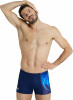 Arena Placement Badehose kurz
