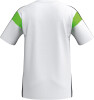 Erima Celebrate 125 Fußballtrikot