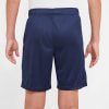 Nike DF HBR Shorts