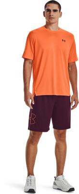 Under Armour UA Tech™ Vent férfi póló