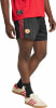 adidas Manchester United Terrace Icons Shorts