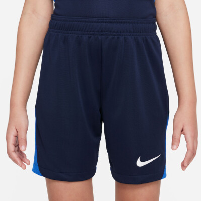 Nike Academy Pro Short
