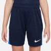 Nike Academy Pro Short